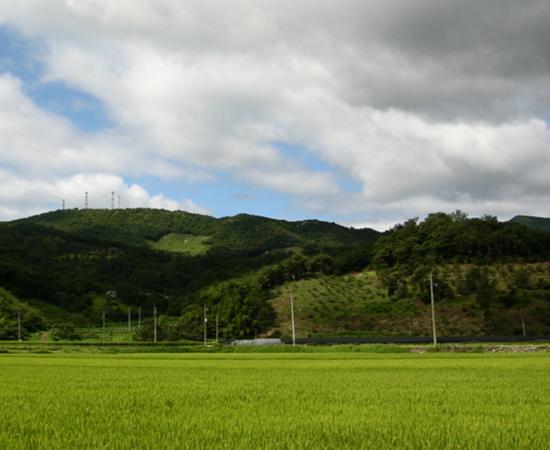 돌담산 이미지