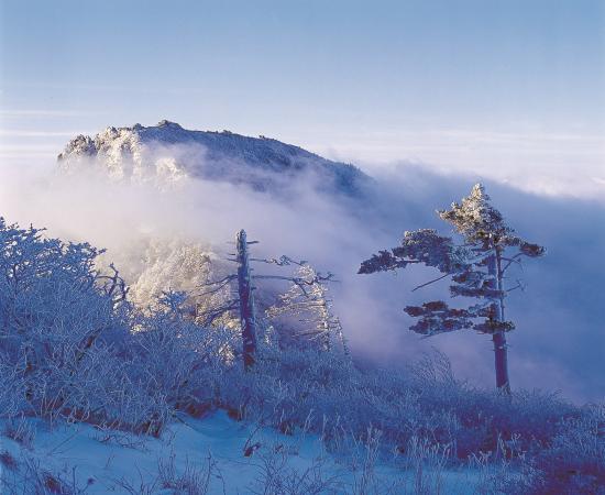 지리산 이미지