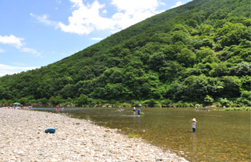 德川江